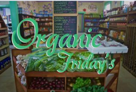 organic friday super gourmet bocas del toro, Panama – Best Places In The World To Retire – International Living